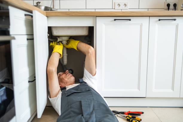 Best Plumbing Services Near Me  in Mineral Point, WI